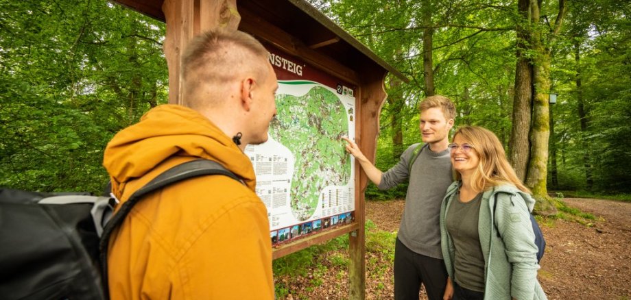 Hüllwald | Daaden Hüllwald | Daaden